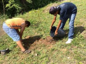 reforesta.La Noria